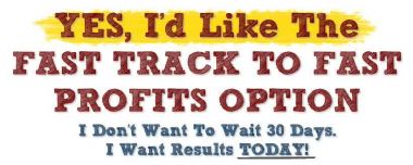 beri link download Fast Track To Fast Profits
