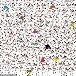 menuliskan artikel minimal 500 kata