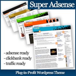 memberikan 5 theme adsense keren