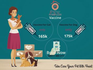 vaksin anjing di pakuwon city