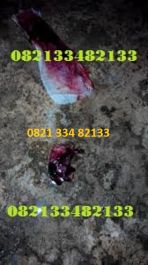 Obat Penggugur Kandungan ® WA.082133482133 Obat Aborsi Kalimantan