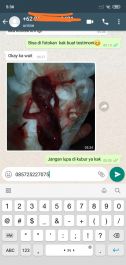 Obat Aborsi Semarang Wa 085725227075 Jual Obat Aborsi Cytotec Asli Tuntas Dalam 3 jam