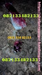 Obat Aborsi ® WA.082111113631 Obat Aborsi Asli Cytotec Bali