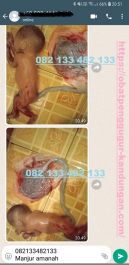 Obat Penggugur Kandungan ® WA.082133482133 Asli YOGYAKARTA