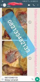 Obat Penggugur Kandungan ® WA.082133482133 Asli KALIMATAN
