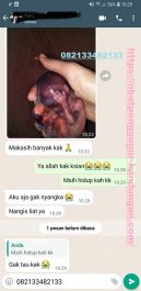 Obat Penggugur Kandungan ® WA.082133482133 Asli JAYAPURA