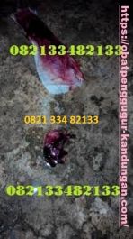 Obat Penggugur Kandungan ® WA.082133482133 OBAT ABORSI