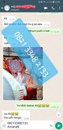 Obat Penggugur Kandungan ® WA.082133482133 Asli SUMATRA