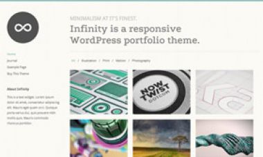 memberikan Infinity dan Reveal premium Wordpress Theme dari ThemeTrust