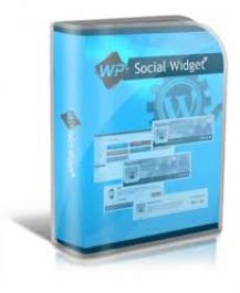 berikan wp social widget plugin
