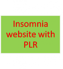 menjual script website insomnia siap pakai dengan Hak PLR cocok utk pemula adsense