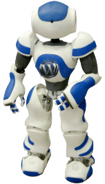 menginstall kan wp-robot 3.x di blog wordpress kamu