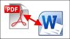 mengetik ulang PDF files kamu ke MS Word per 30 halaman