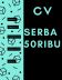 desain CV, wedding invitation (online)