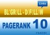 place your link on my HQ pagerank 10 blog