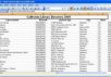 kerjakan entry data ke dalam excel untuk satu worksheet