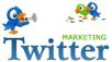 memberikan panduan optimasi TWITTER untuk bisnis anda