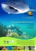 membuatkan desain BROSUR/FLYER promosi