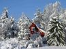 memberikan link download 50 wallpaper cantik bertema 'musim dingin dan Natal'