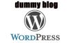 membuat 25 dummy wordpress di wordpress.com